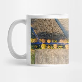 Aerial view of country road, autumn trees and ploughed field Mug